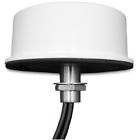 08-ant-0944-2x-nf Mp Antenna Ghz Mimo Dual Band 729198857318