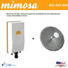 Ant4958d36p-dp 680665930210 Mimosa Paired With Mimo Dish