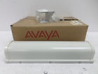 700016231 Avaya Wireless 2.4ghz 12