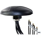 Ant500221 Proxicast Antennas Professional Lte Gps Combination 617237750747