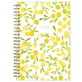 25-december Blue Sky 149061-25 25 Weekly/monthly Planning Calendar Mimosa January