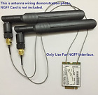 6dbi Pjcard Porjet New 2 X 4897042877044