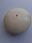 Ubiquiti NBE-M5-16 Nanobeam Wireless Bridge. Fixed Price $40.00.