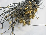 Scrap Gold 9.5 Oz 12" 1U.FL Ipx Rp-sma Female Jack Cable Wifi Wireless Antenna. Fixed Price $54.99.