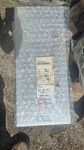 Andrew RFID-900-SCA (AN400-CB66203WR) 902-928 Mhz 6DBI Dual Antenna. Fixed Price $180.00.